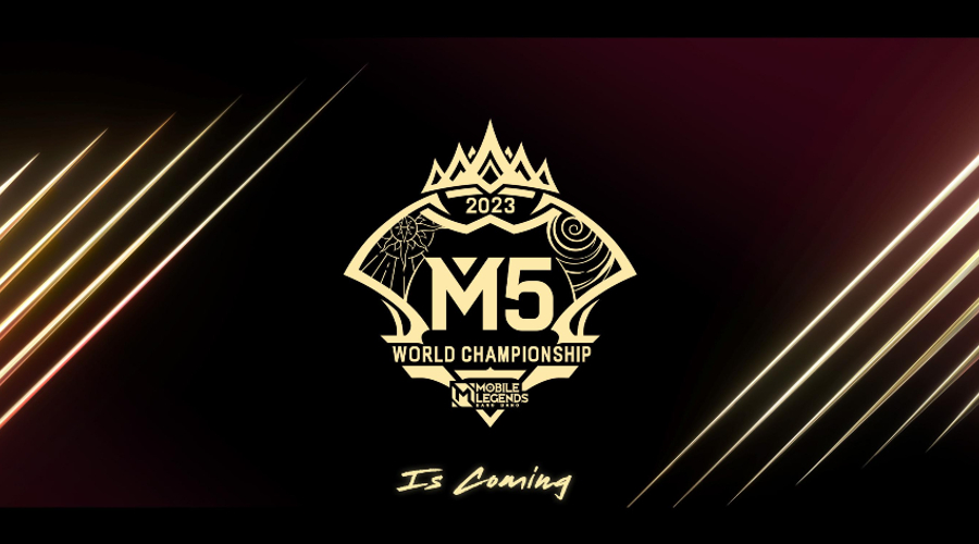 M5 Wild Card Is Coming.jpg